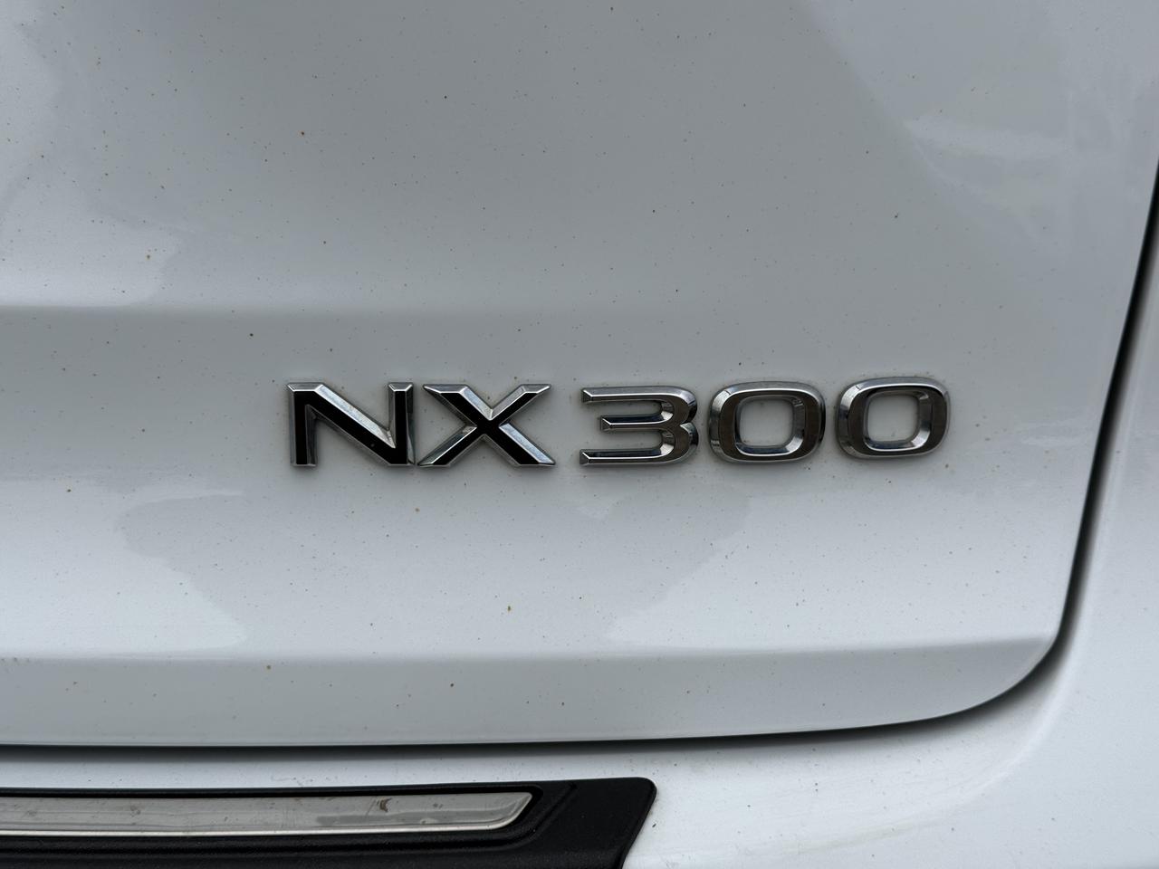 2018 Lexus NX NX 300 F-SPORT Photo