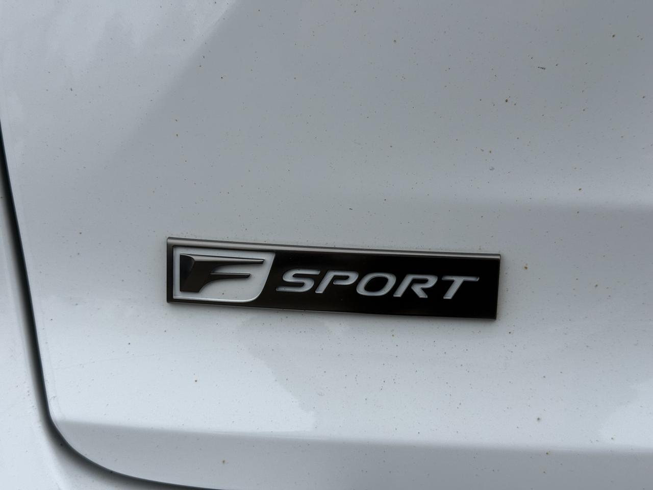 2018 Lexus NX NX 300 F-SPORT Photo