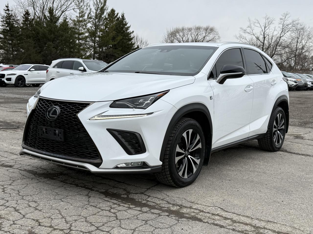 2018 Lexus NX NX 300 F-SPORT Photo