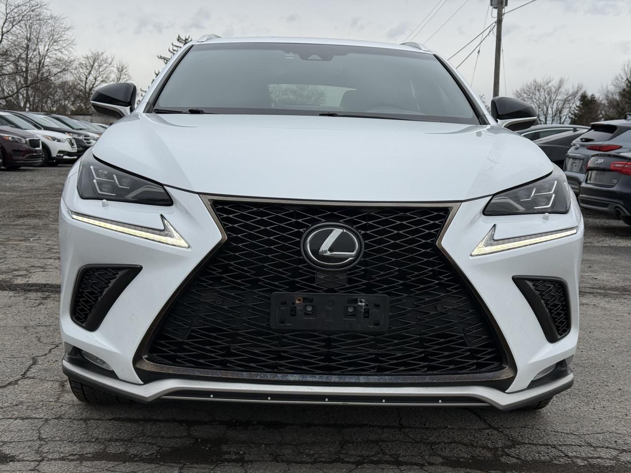 2018 Lexus NX NX 300 F-SPORT Photo