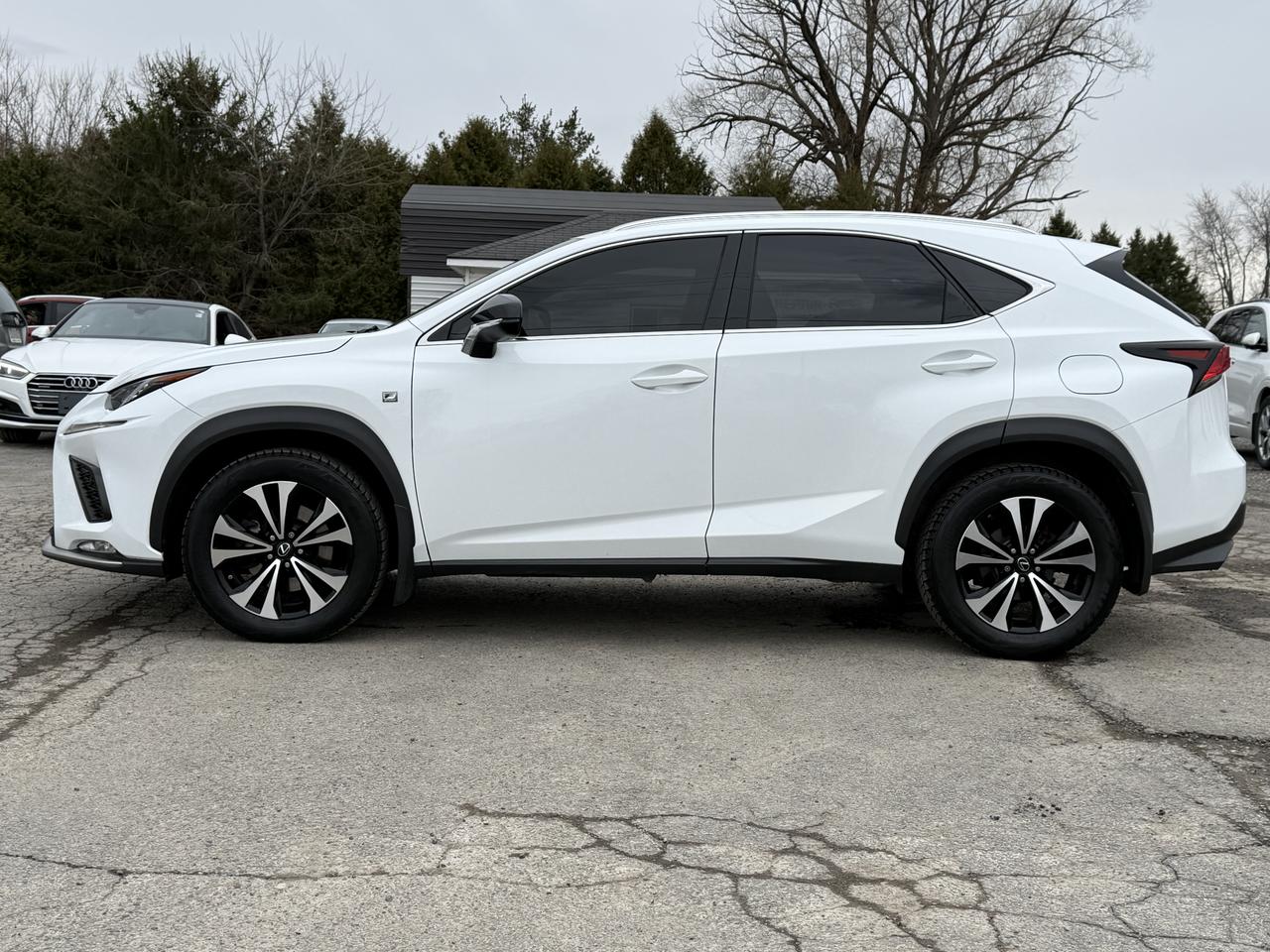 2018 Lexus NX NX 300 F-SPORT Photo