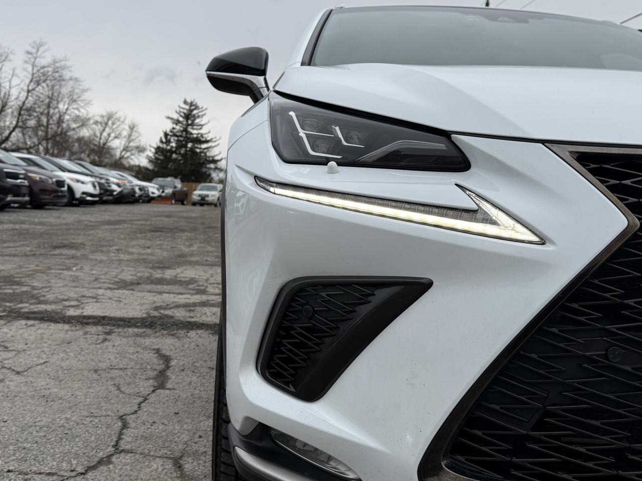 2018 Lexus NX NX 300 F-SPORT Photo