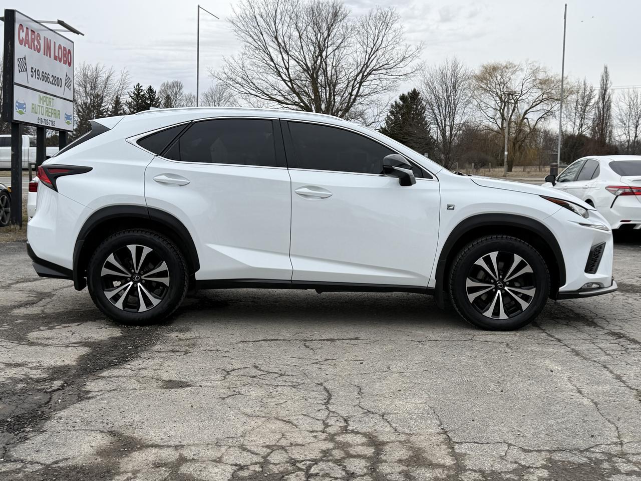 2018 Lexus NX NX 300 F-SPORT Photo