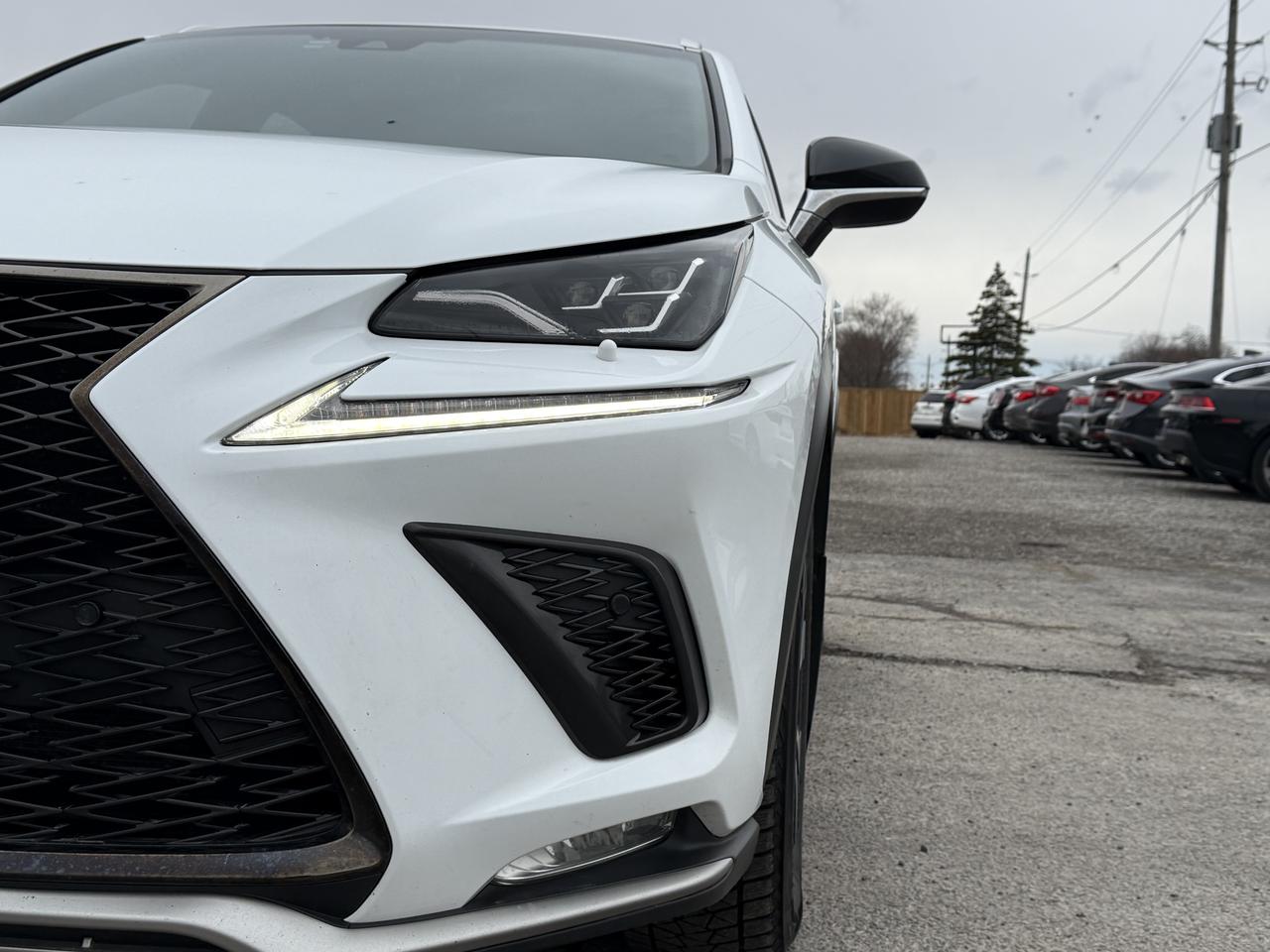 2018 Lexus NX NX 300 F-SPORT Photo