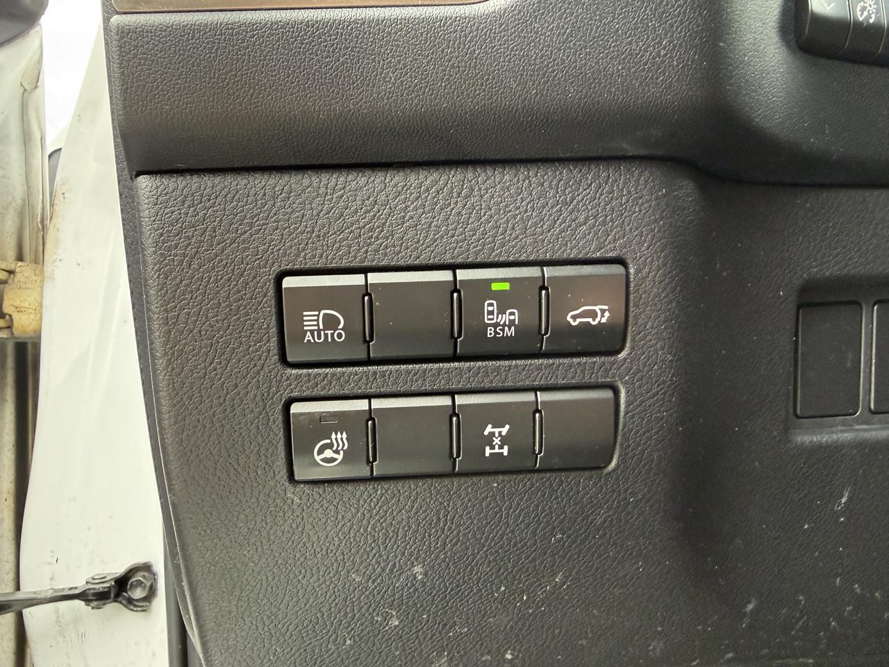 2018 Lexus NX NX 300 F-SPORT Photo