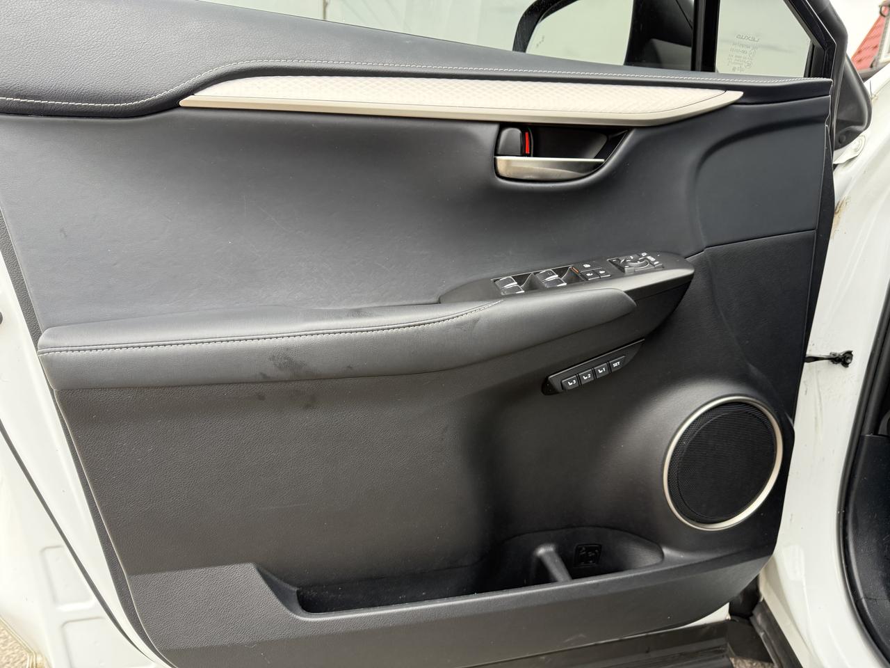 2018 Lexus NX NX 300 F-SPORT Photo