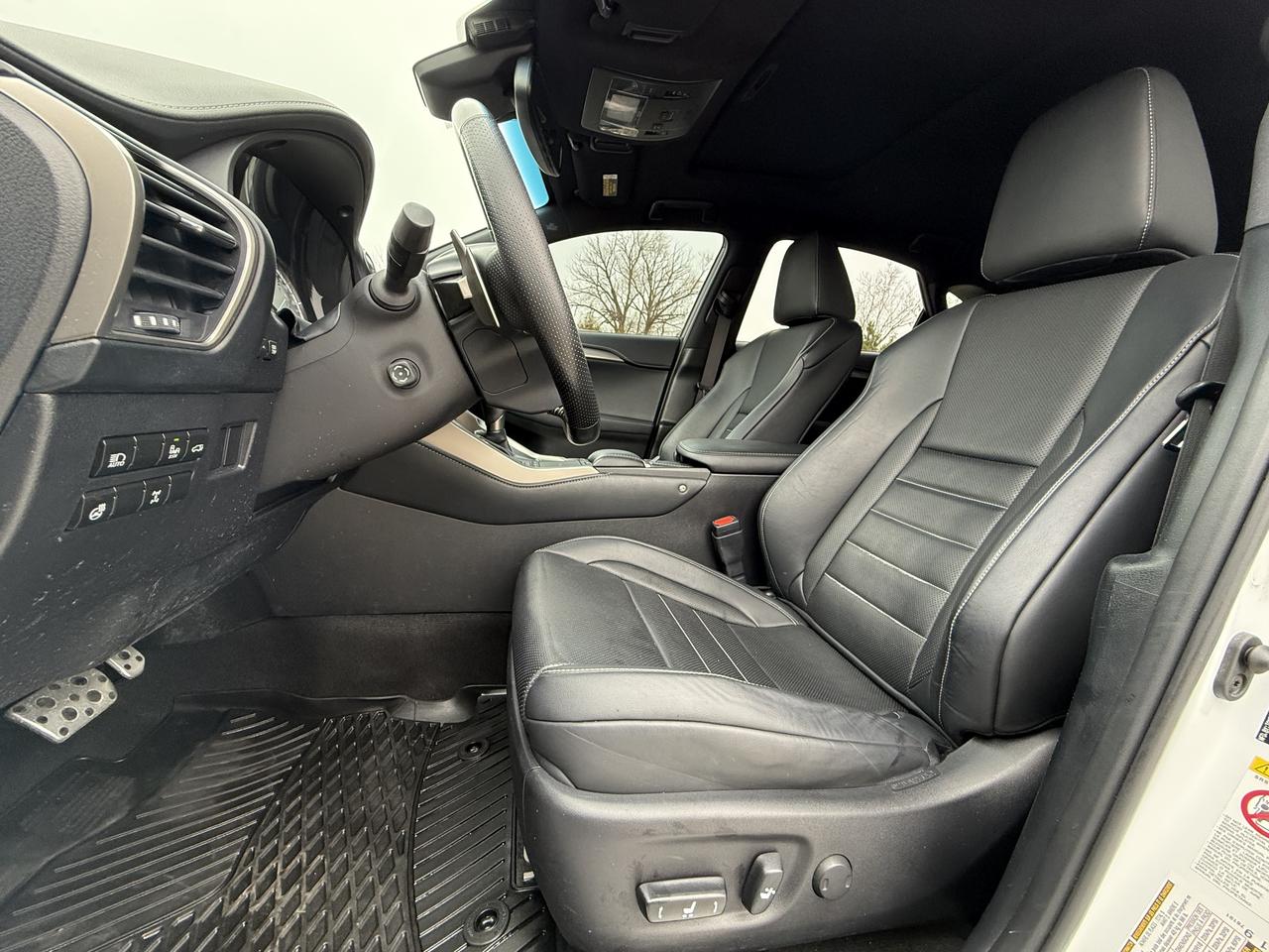 2018 Lexus NX NX 300 F-SPORT Photo