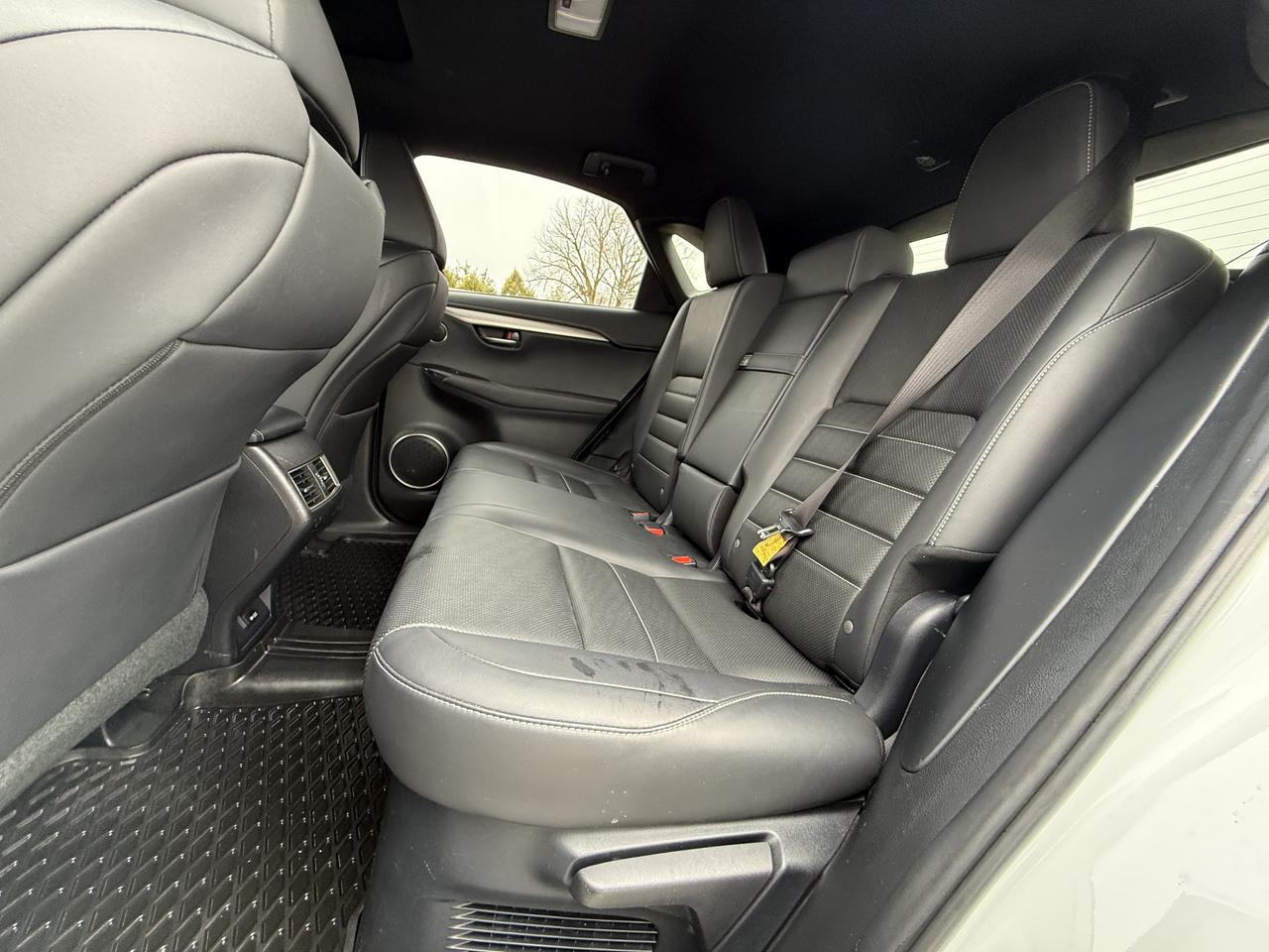 2018 Lexus NX NX 300 F-SPORT Photo