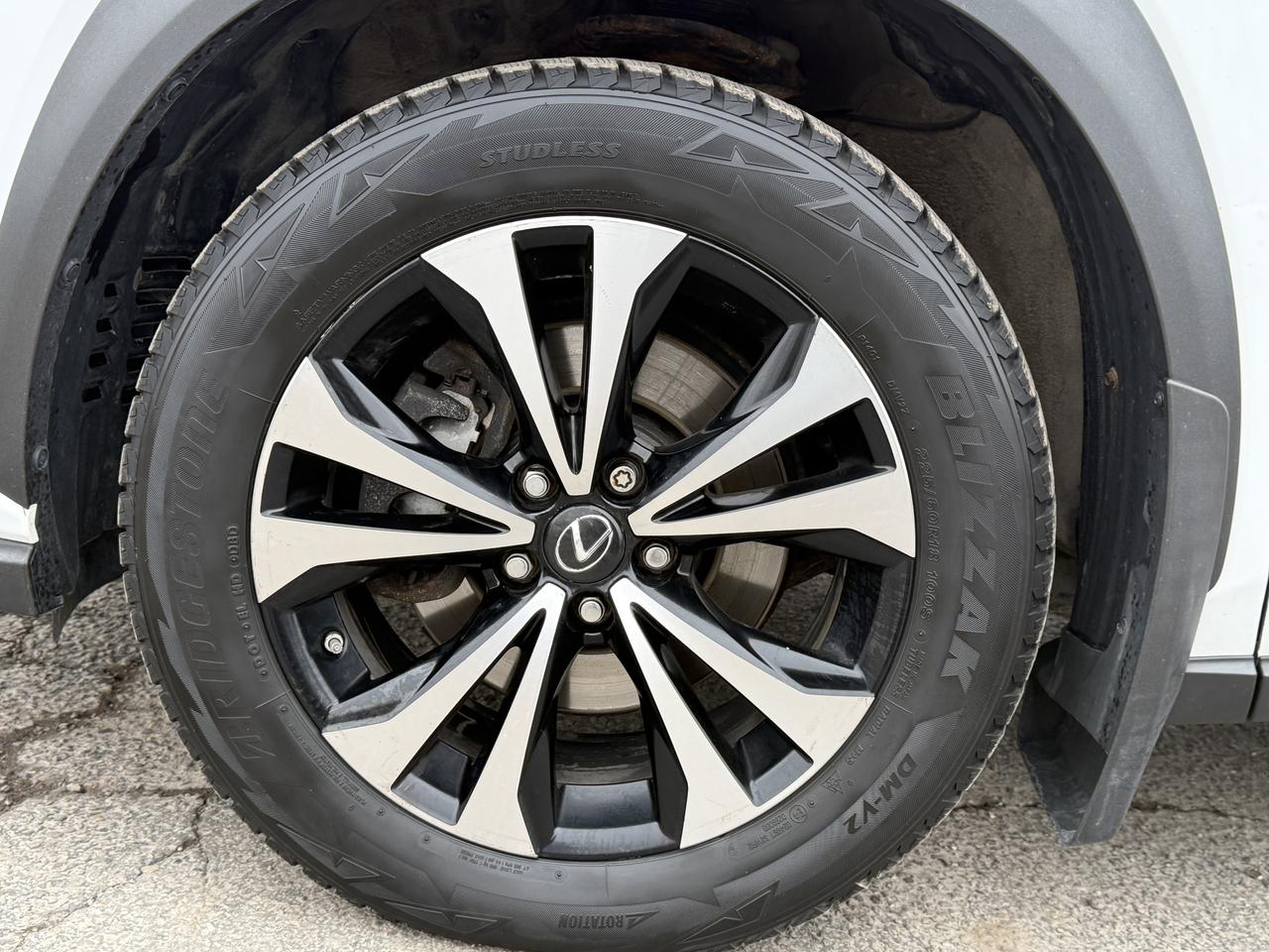 2018 Lexus NX NX 300 F-SPORT Photo