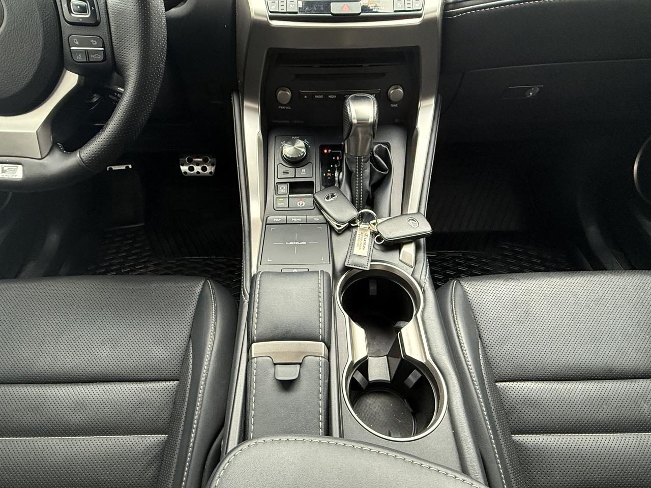 2018 Lexus NX NX 300 F-SPORT Photo