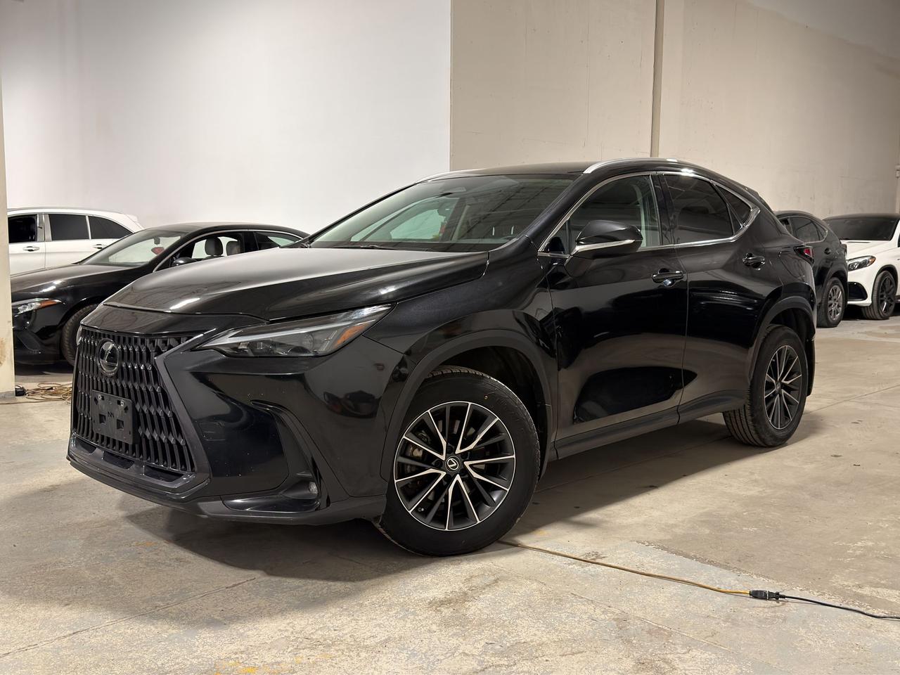 Used 2023 Lexus NX NX 250 for sale in North York, ON