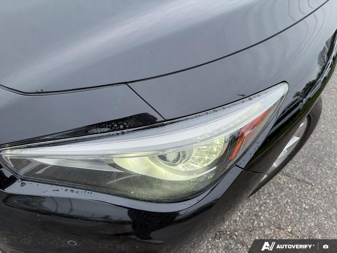 2021 Infiniti Q50 LUXE/ NO ACCIDENTS / AWD / 360CAM / ROOF /LEATHER Photo4
