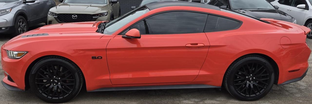 2015 Ford Mustang GT PREMIUM / FASTBACK / NO ACCIDENTS/ M/T/ LOW KMS Photo