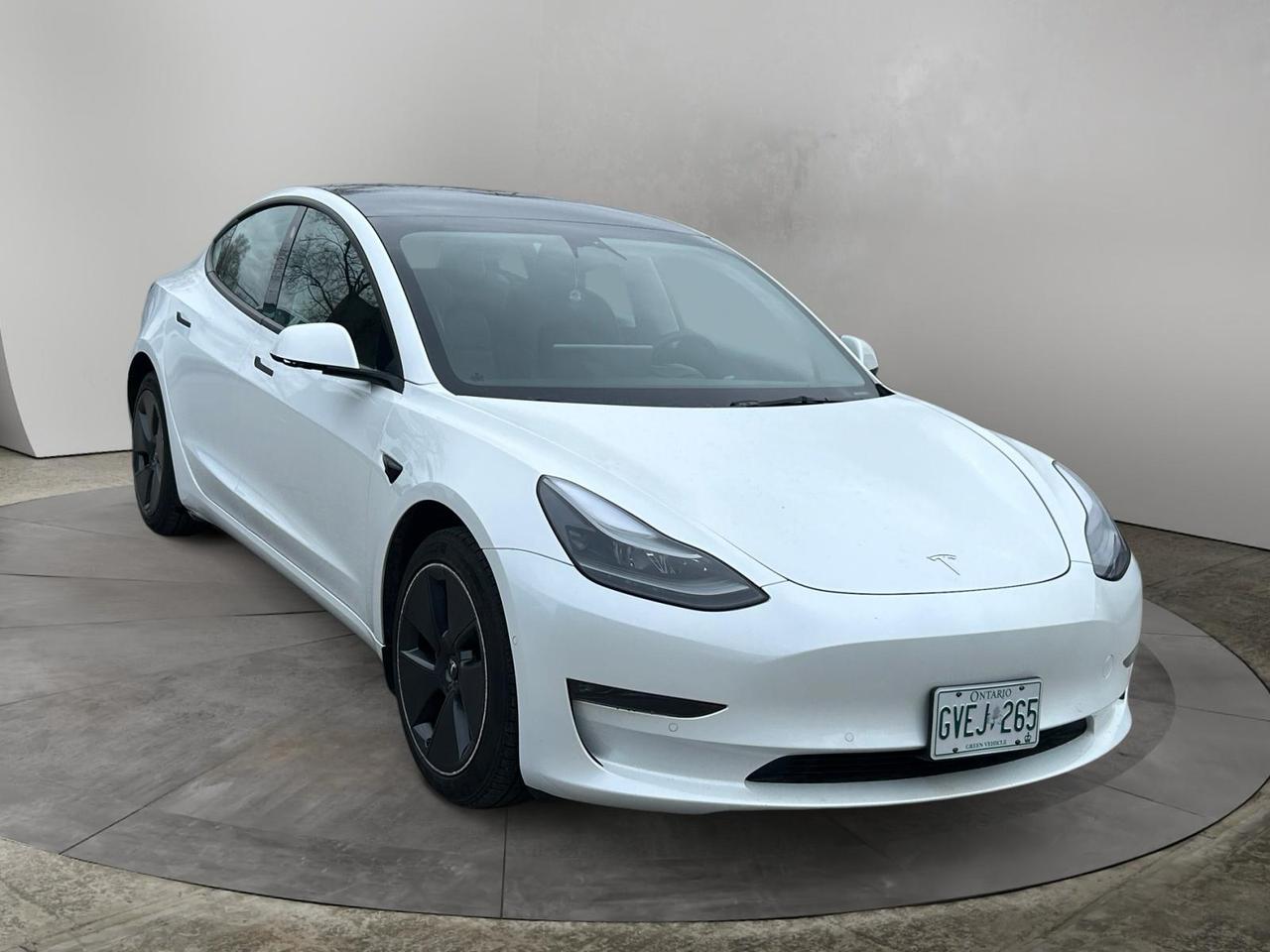2022 Tesla Model 3 LONG RANGE Photo