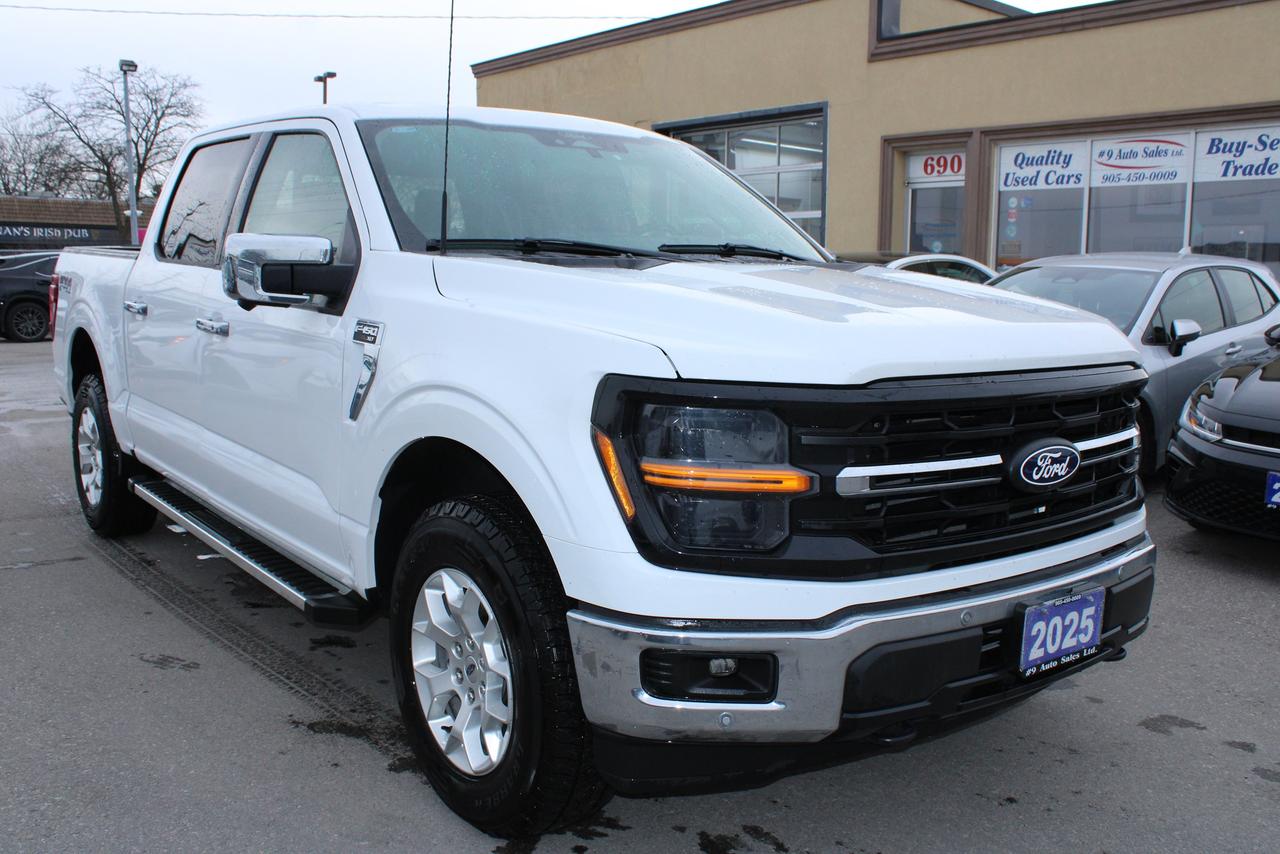 2025 Ford F-150 XLT Photo