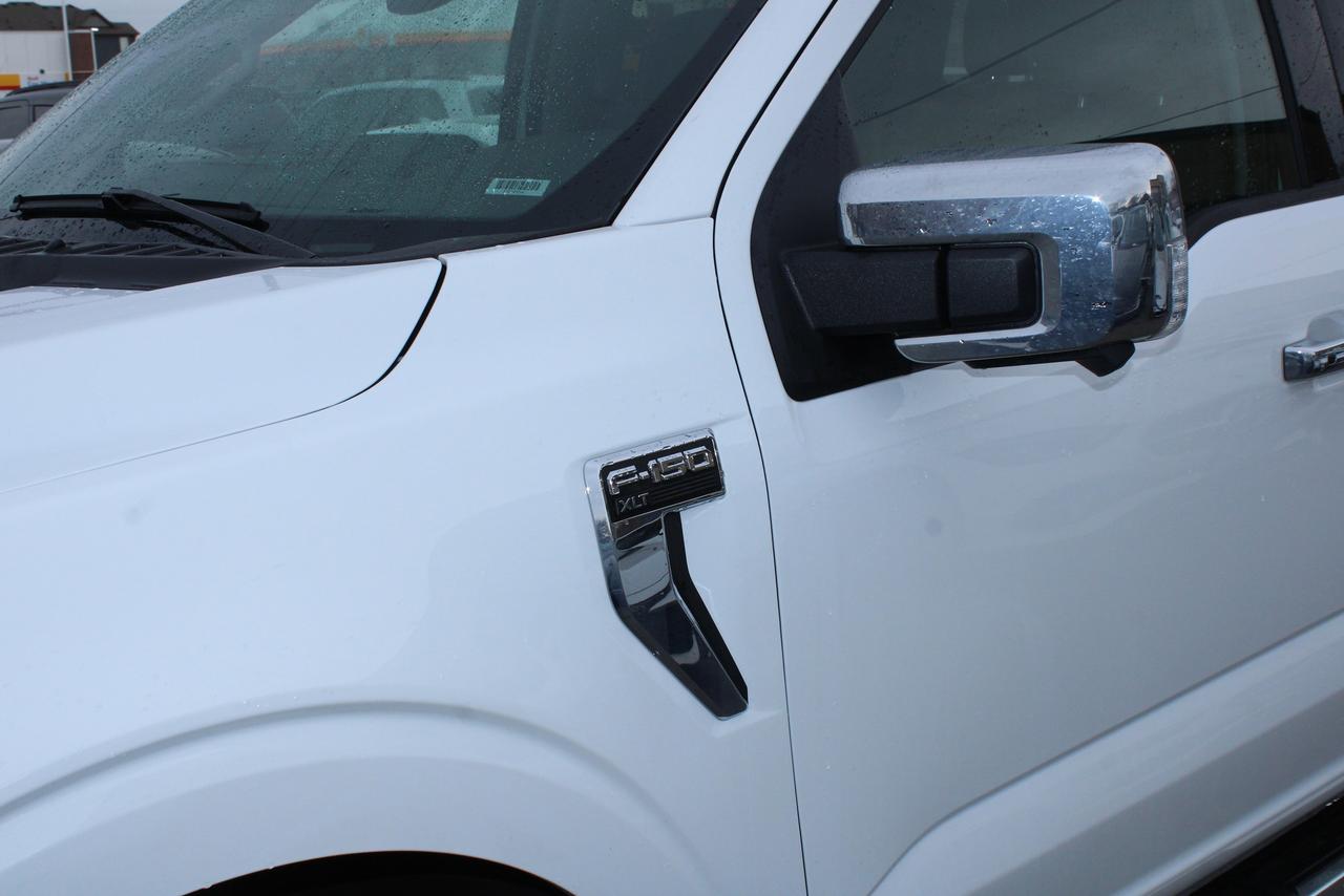 2025 Ford F-150 XLT Photo