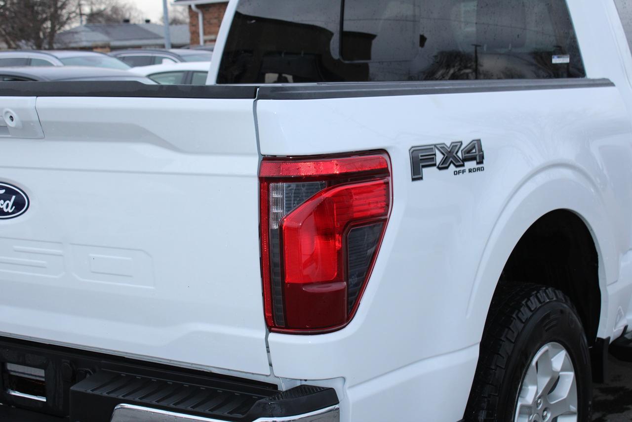 2025 Ford F-150 XLT Photo