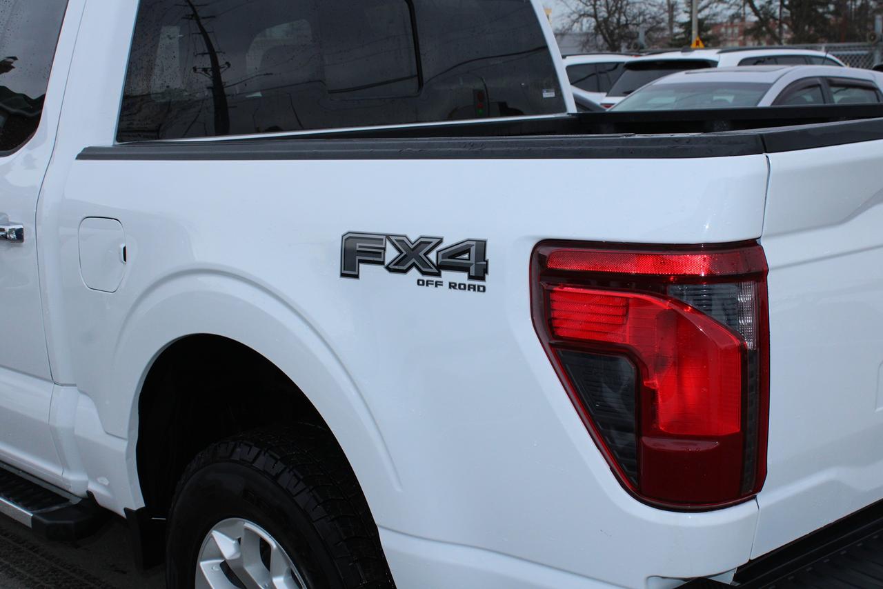 2025 Ford F-150 XLT Photo