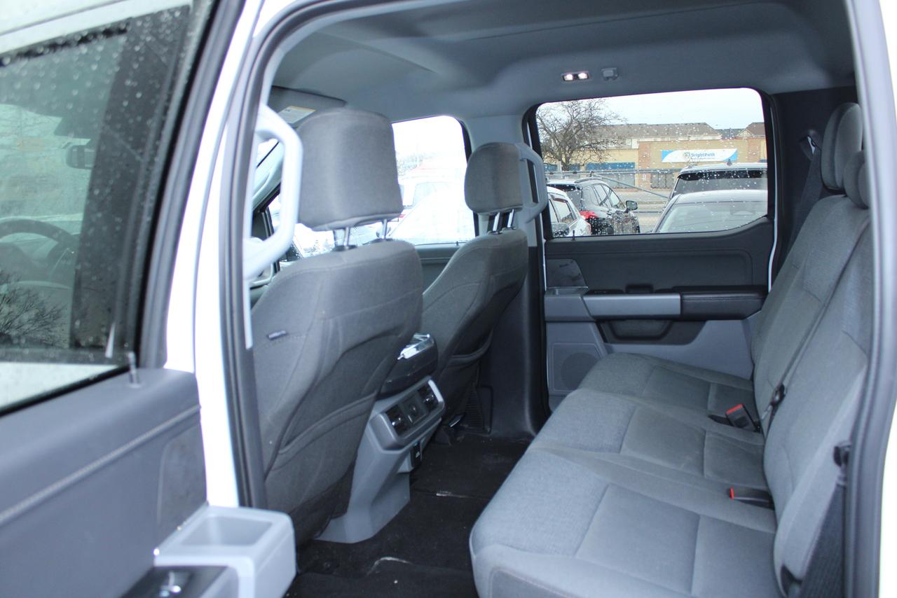 2025 Ford F-150 XLT Photo