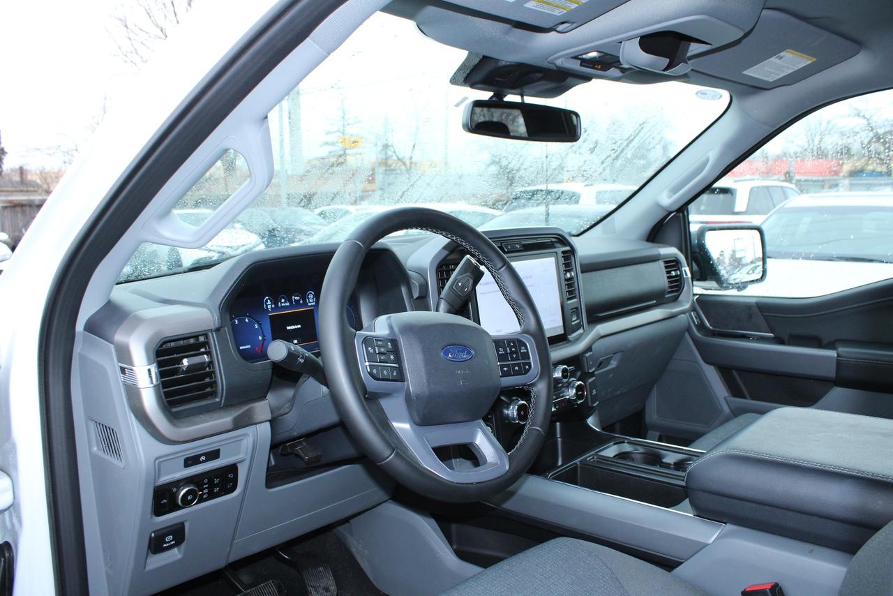 2025 Ford F-150 XLT Photo