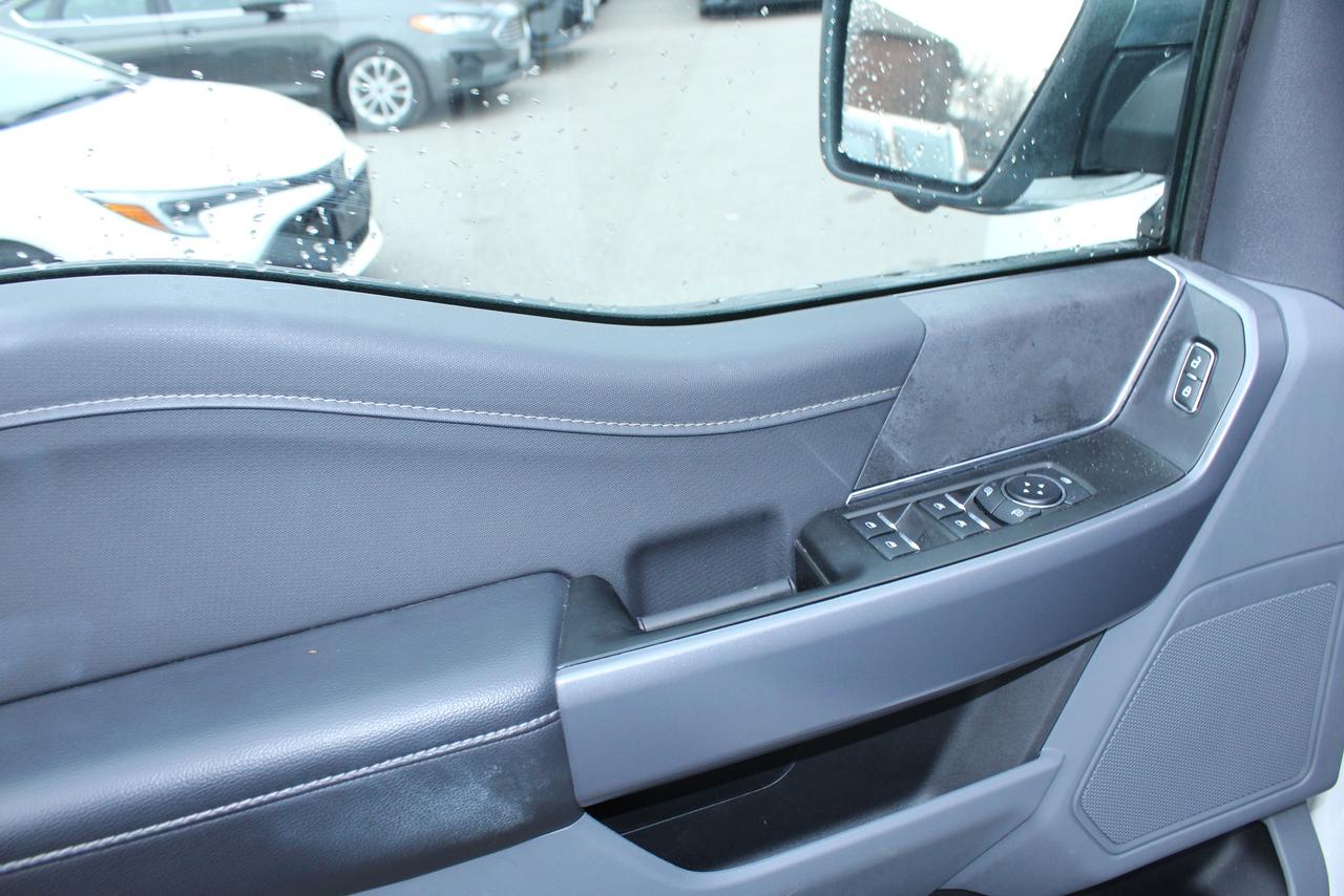 2025 Ford F-150 XLT Photo