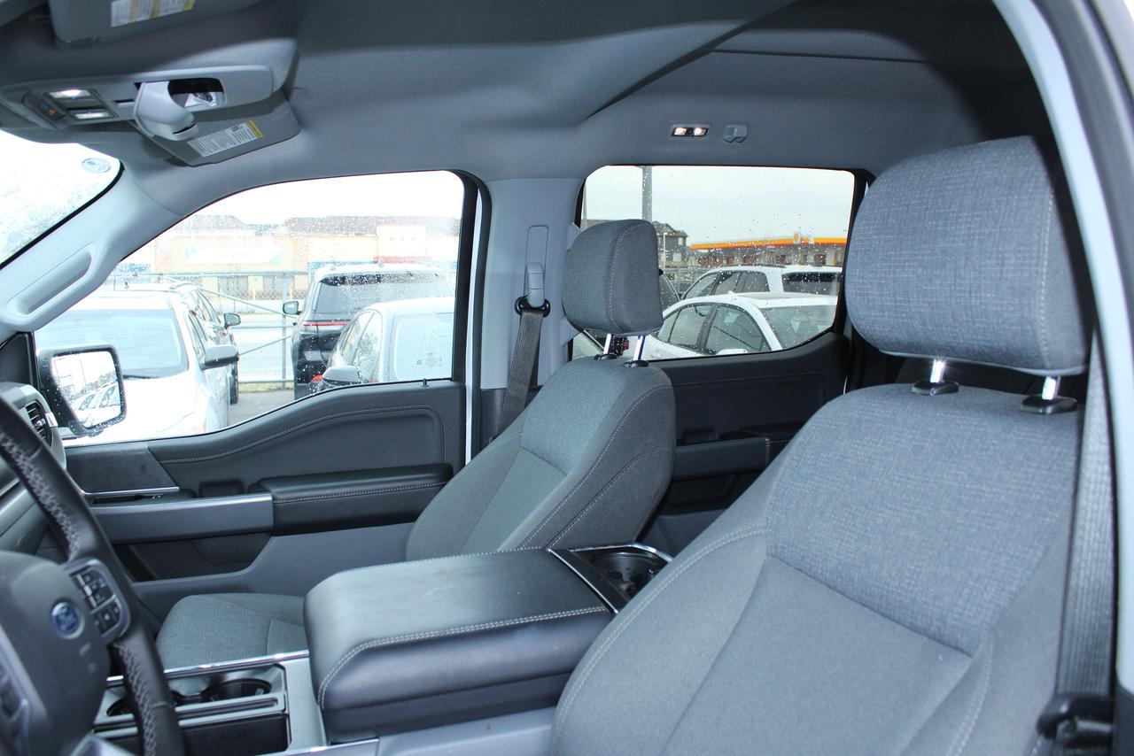 2025 Ford F-150 XLT Photo