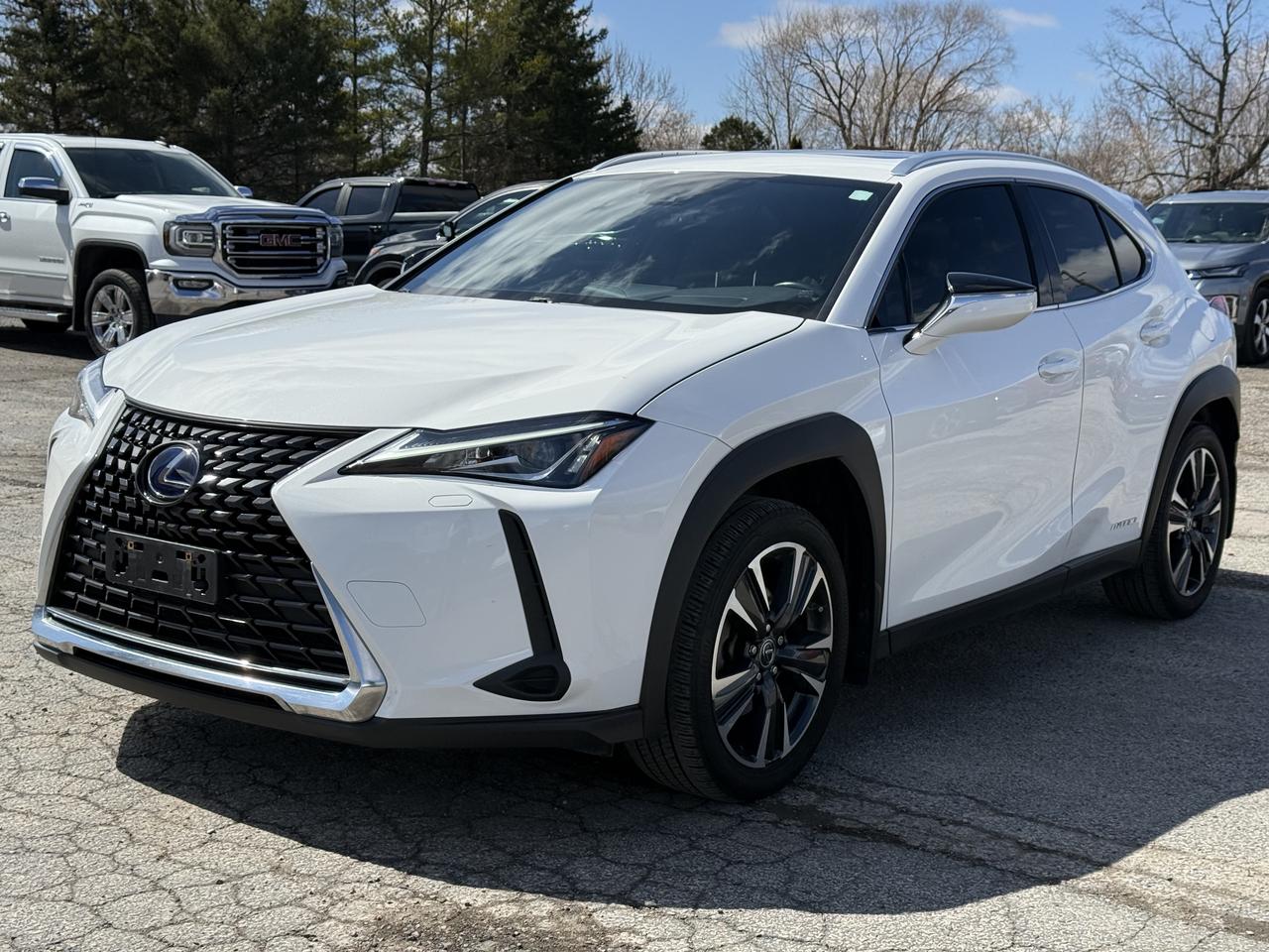 2021 Lexus UX UX 250H Photo