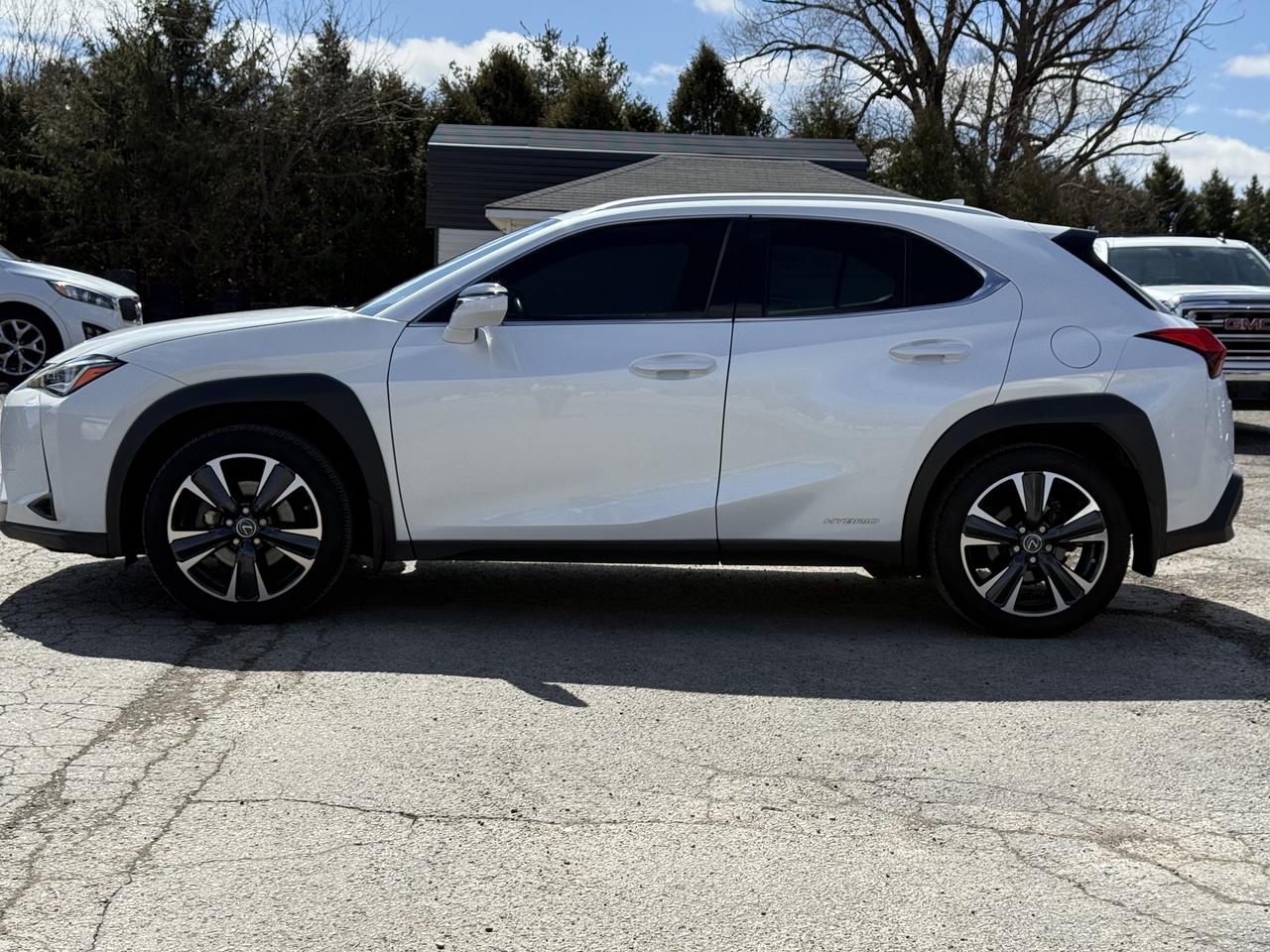 2021 Lexus UX UX 250H Photo
