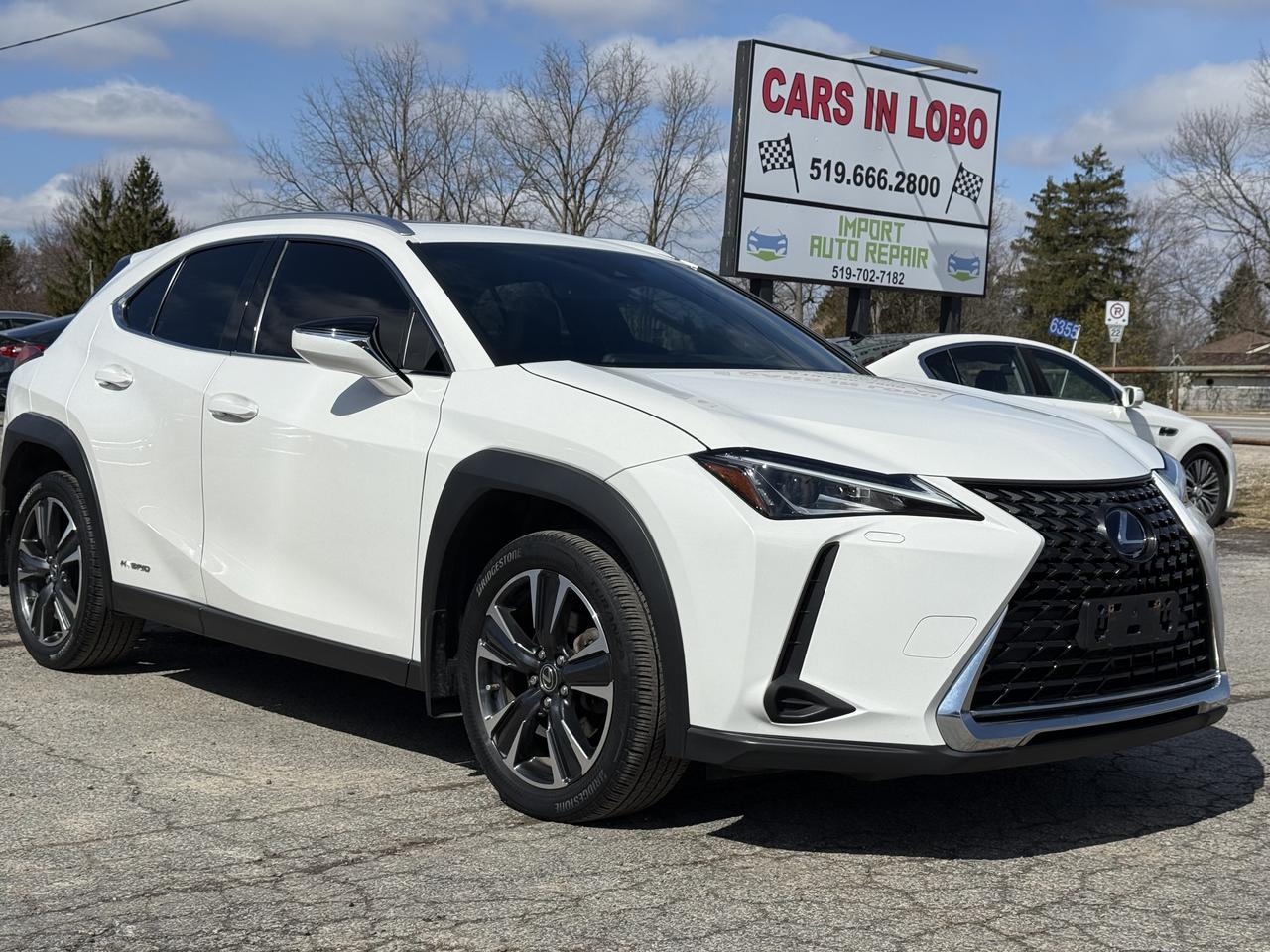 2021 Lexus UX UX 250H Photo0