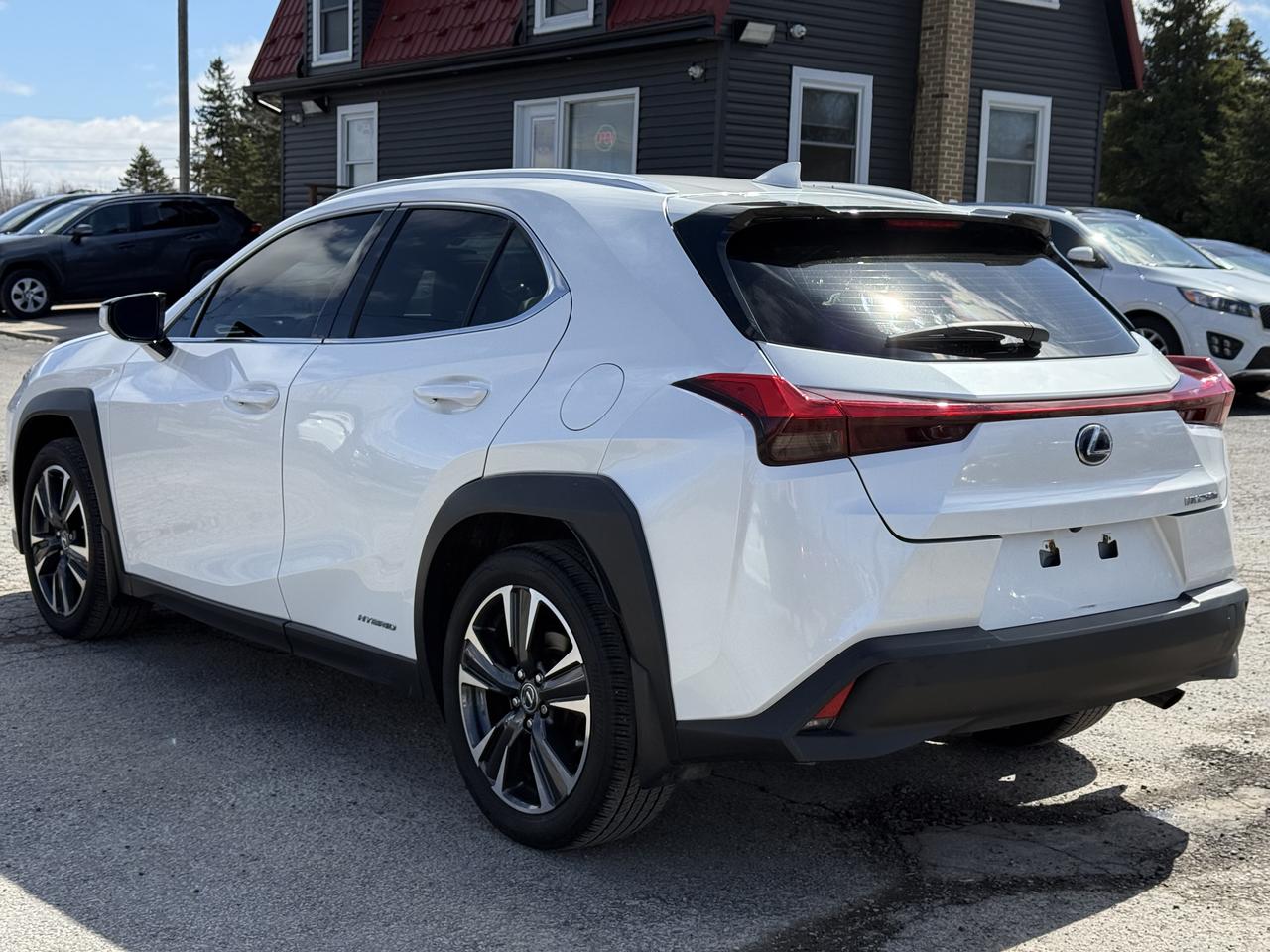 2021 Lexus UX UX 250H Photo