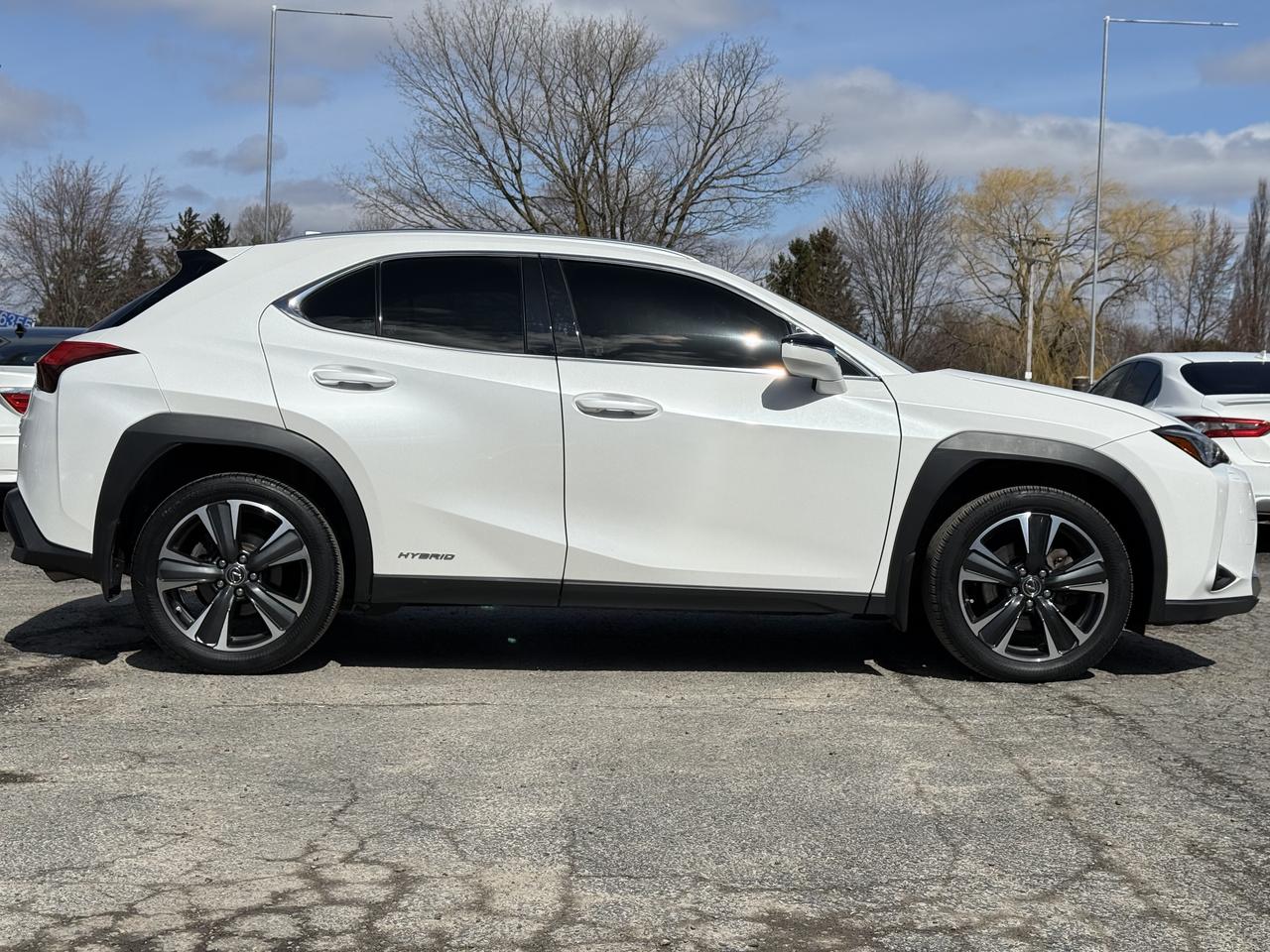 2021 Lexus UX UX 250H Photo