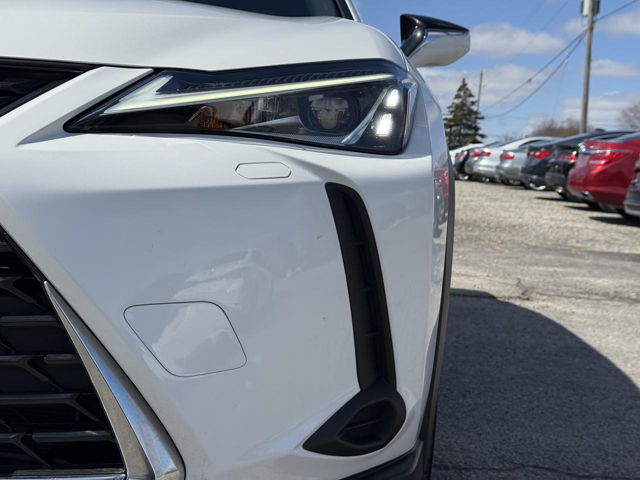 2021 Lexus UX UX 250H Photo