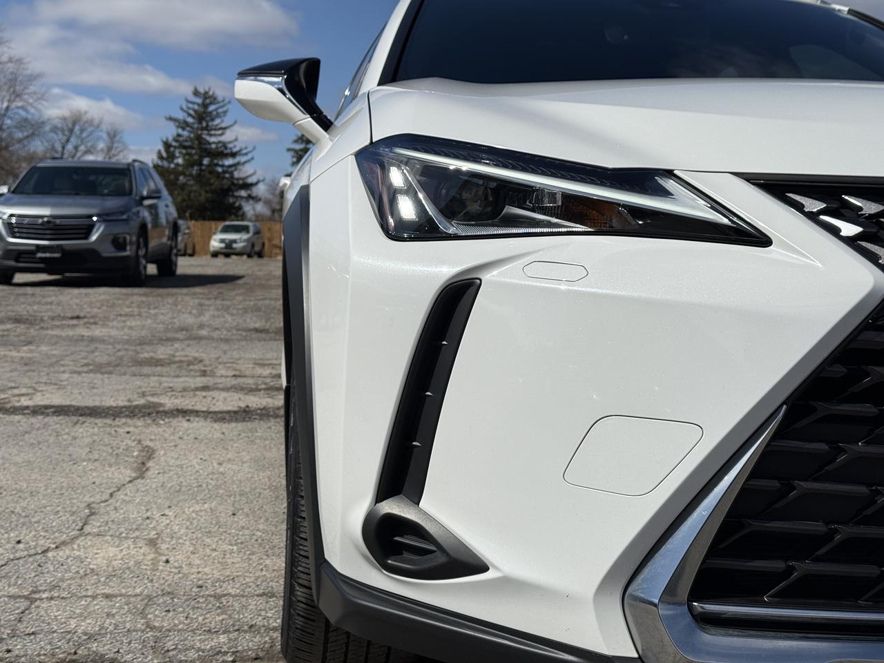 2021 Lexus UX UX 250H Photo