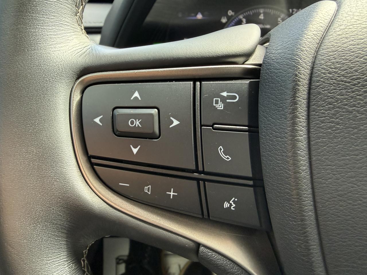 2021 Lexus UX UX 250H Photo