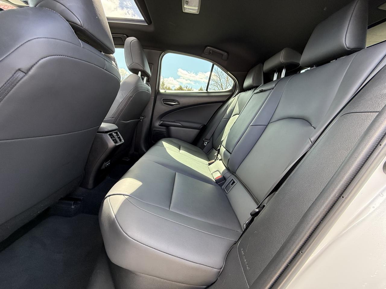 2021 Lexus UX UX 250H Photo