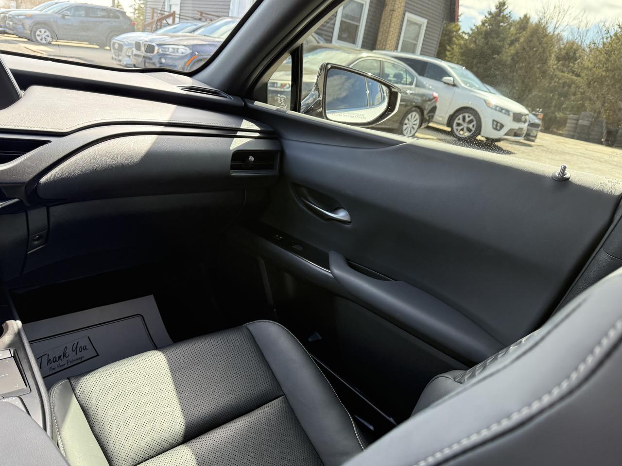 2021 Lexus UX UX 250H Photo