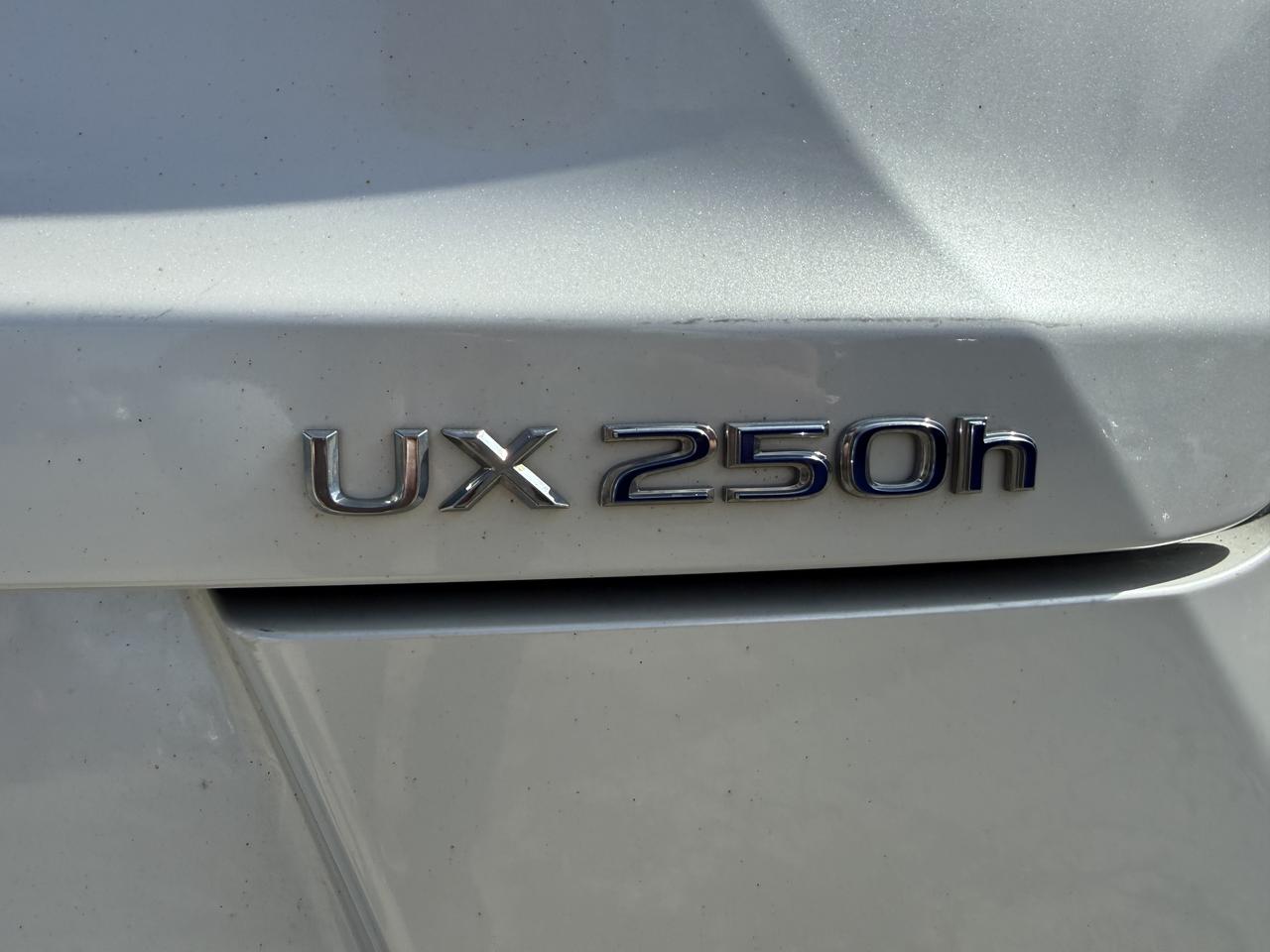 2021 Lexus UX UX 250H Photo