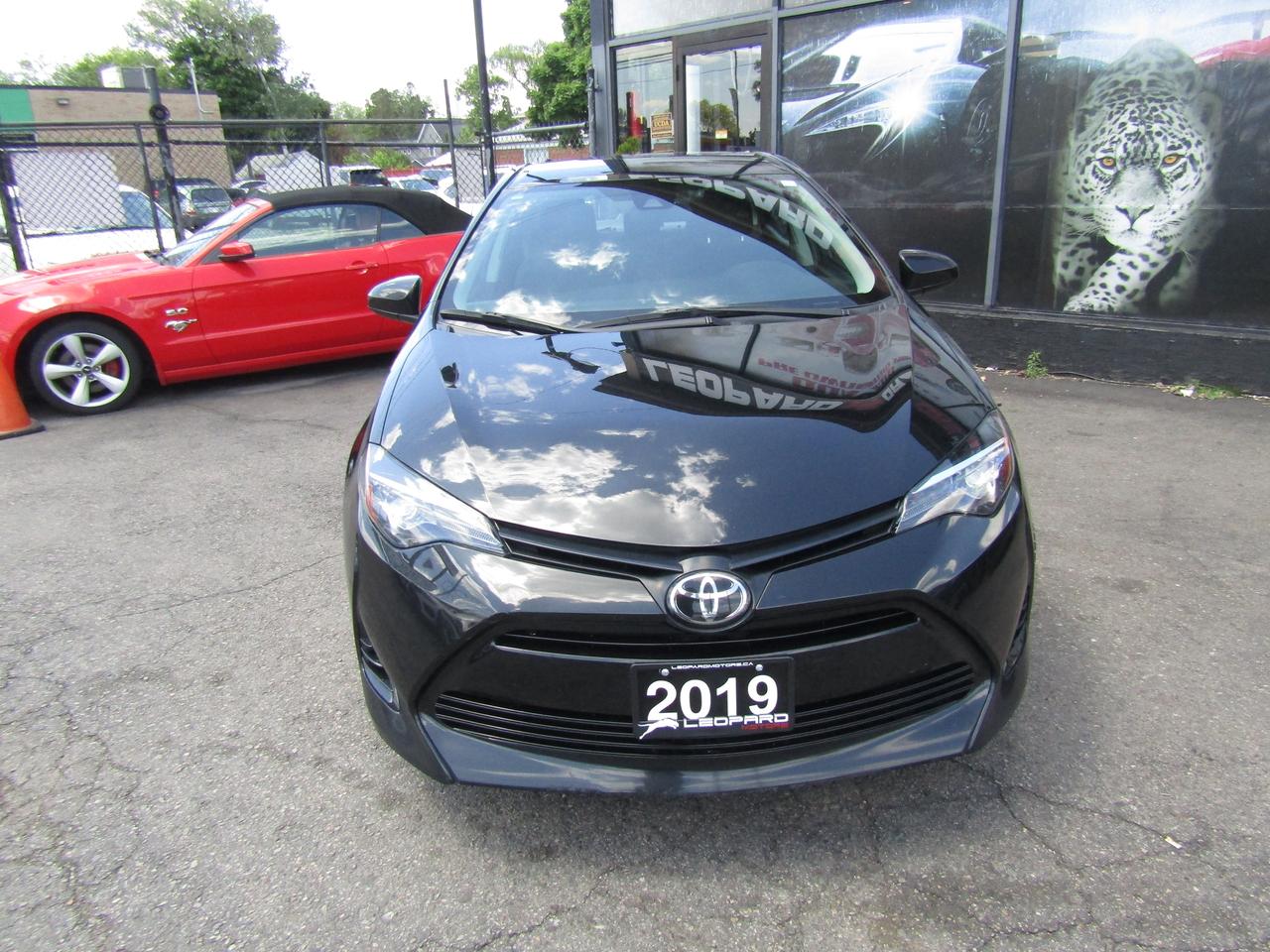 2019 Toyota Corolla LE, Camera, Lane Assist, Adaptive Cruise Ctrl, *One Owner*Certified* Photo5