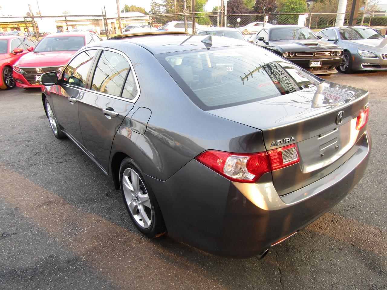 2009 Acura TSX Prem, Sunroof, Leather, Memory, Bluetooth, *Certified* Photo