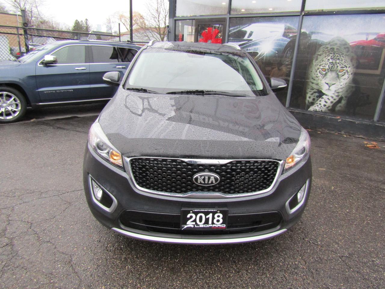 2018 Kia Sorento EX, Camera, DVD, Blind Spot, Leather, Memory, Alloy, *Certified* Photo1