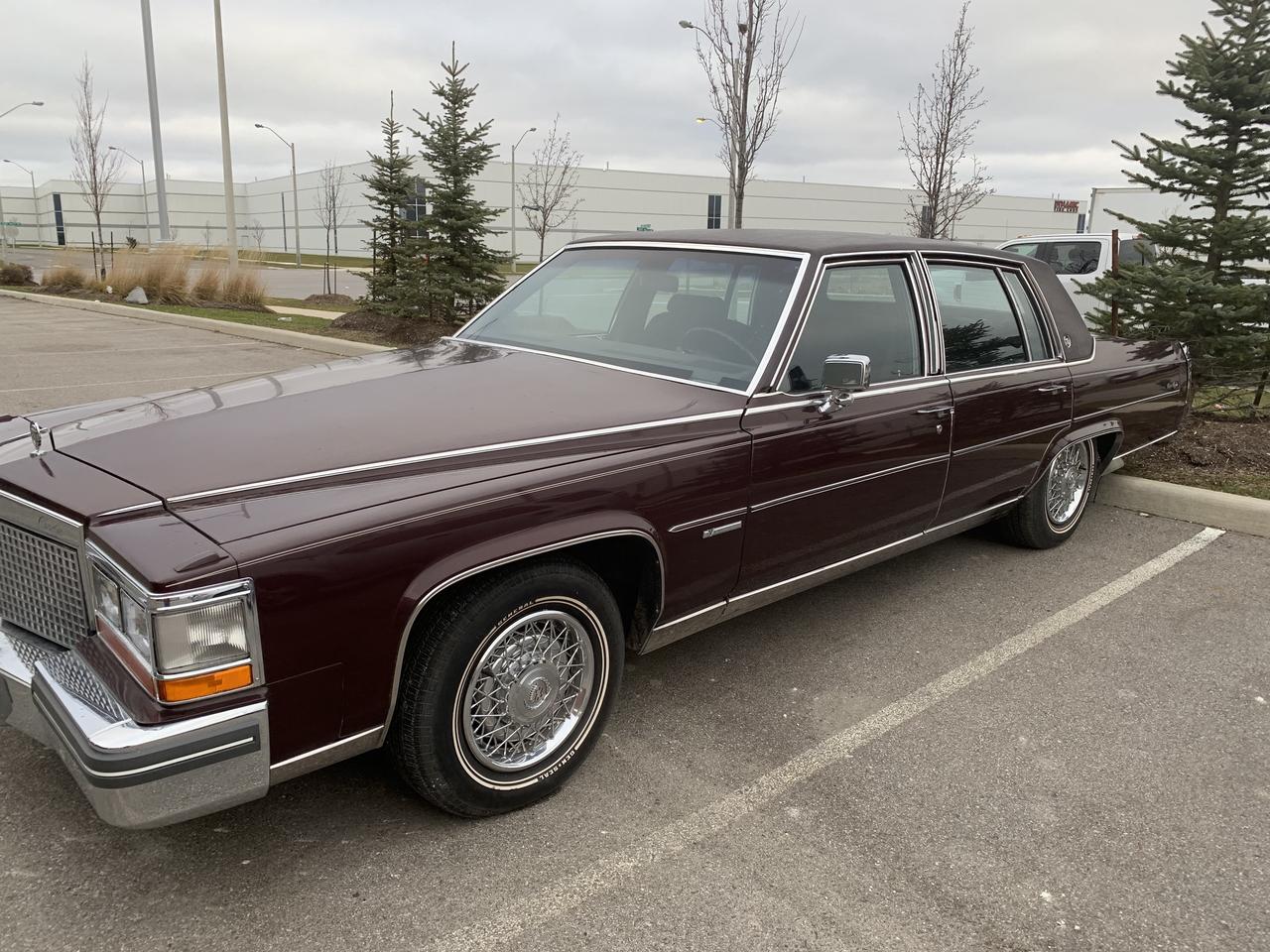 1981 Cadillac Fleetwood Brougham Fleetwood Brougham 6.4 Photo2