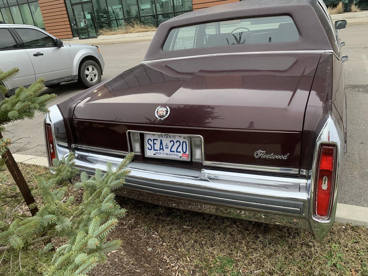 1981 Cadillac Fleetwood Brougham Fleetwood Brougham 6.4 Photo4