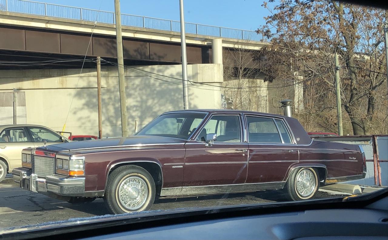 1981 Cadillac Fleetwood Brougham Fleetwood Brougham 6.4 Photo