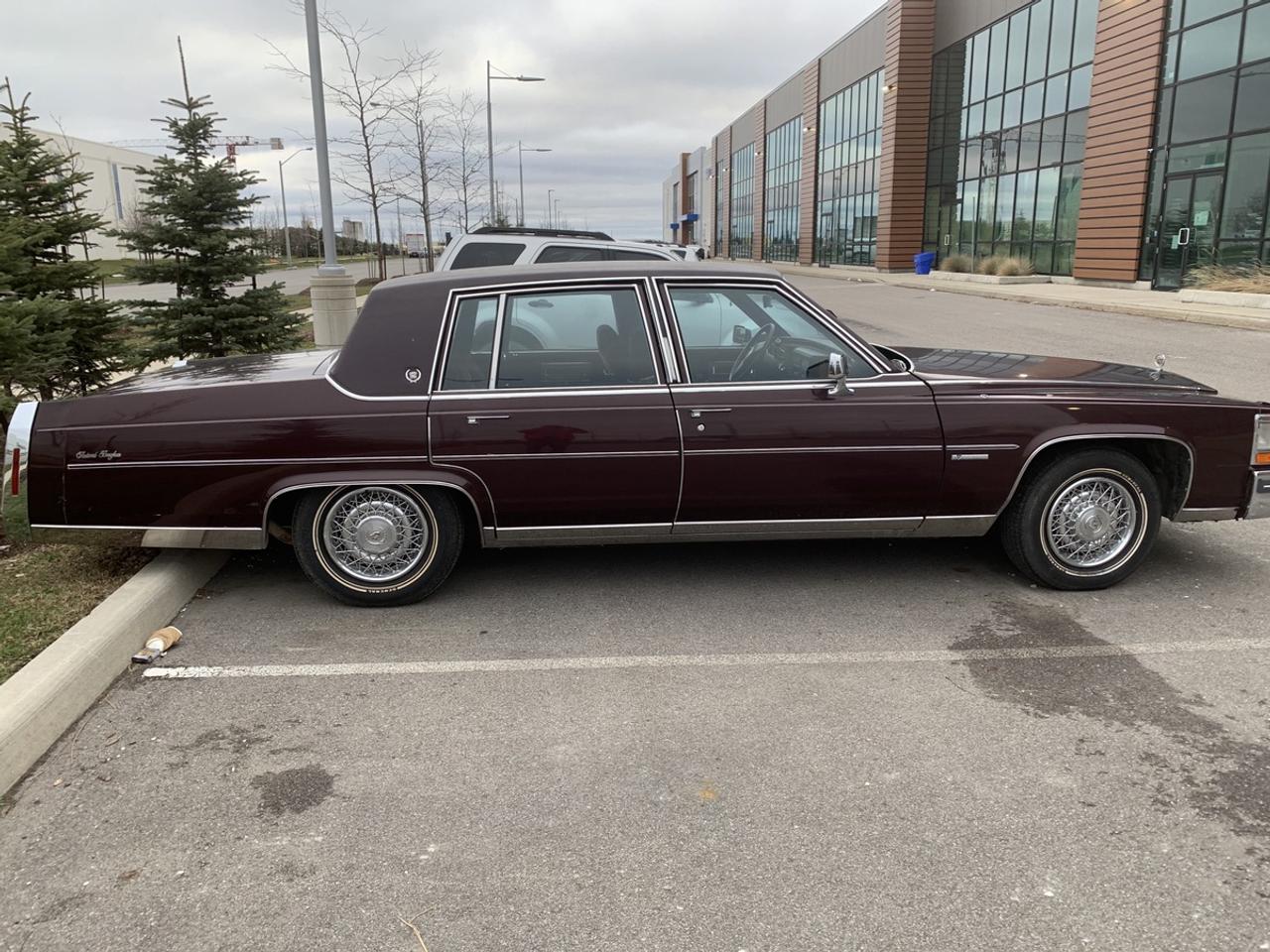 1981 Cadillac Fleetwood Brougham Fleetwood Brougham 6.4 Photo5