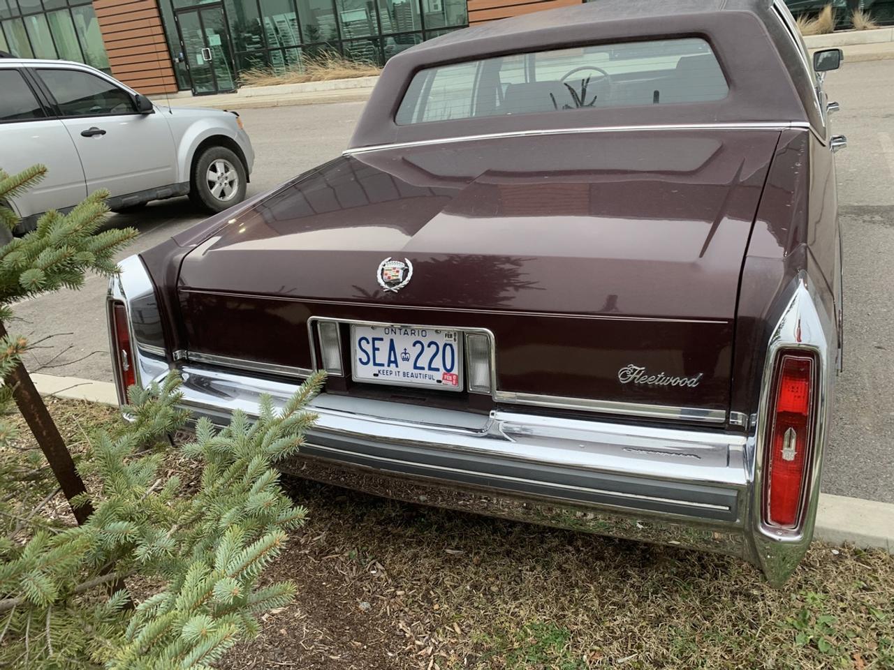 1981 Cadillac Fleetwood Brougham Fleetwood Brougham 6.4 Photo