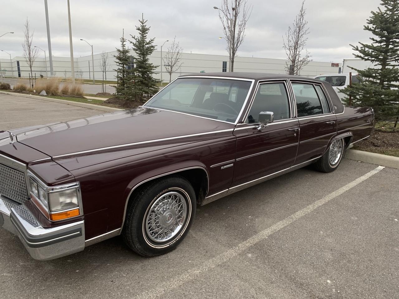 1981 Cadillac Fleetwood Brougham Fleetwood Brougham 6.4 Photo