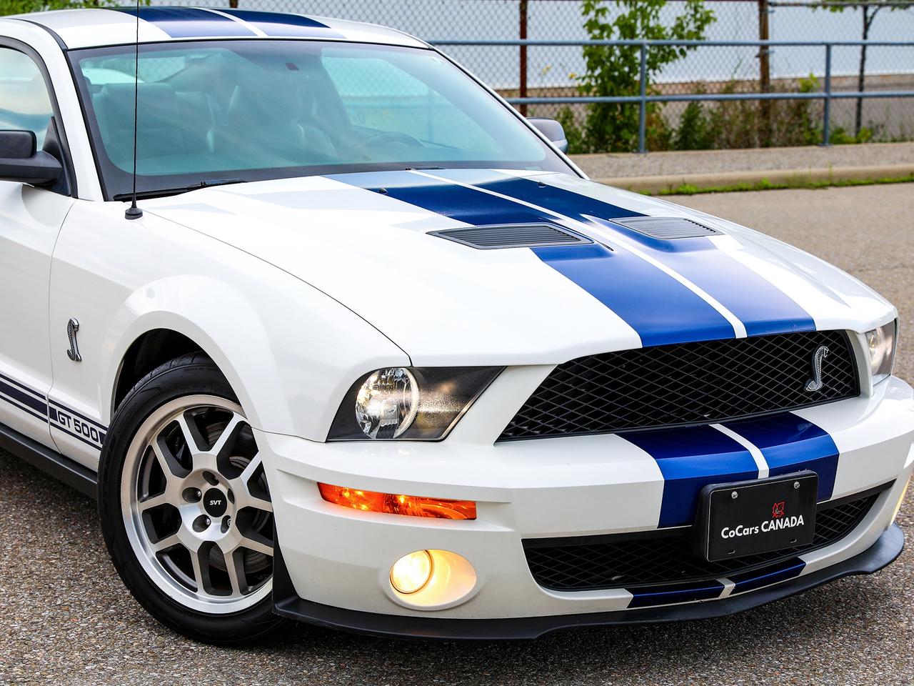 2009 Ford Mustang Shelby GT500 Photo