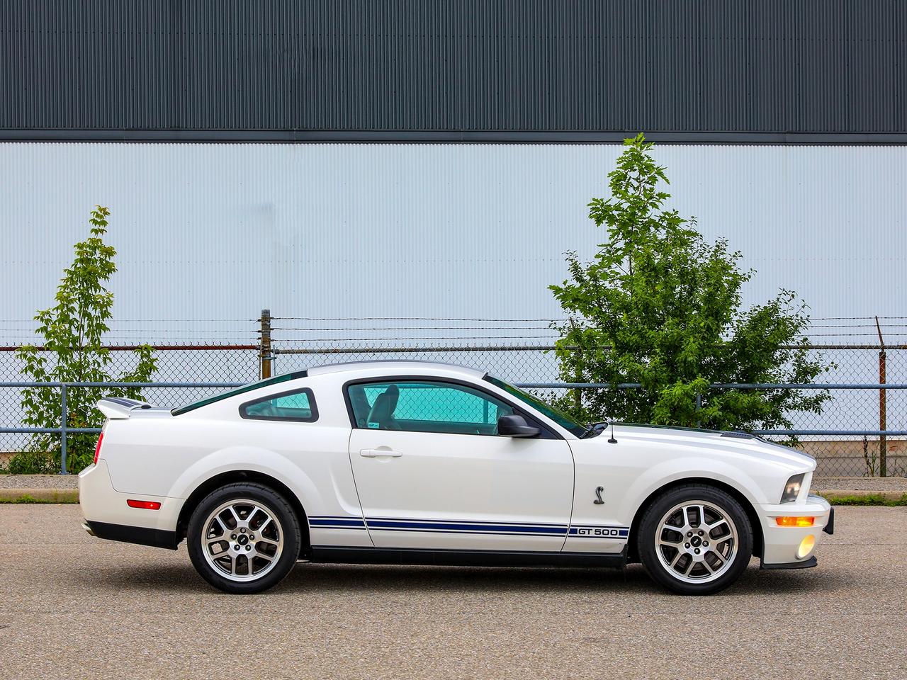2009 Ford Mustang Shelby GT500 Photo