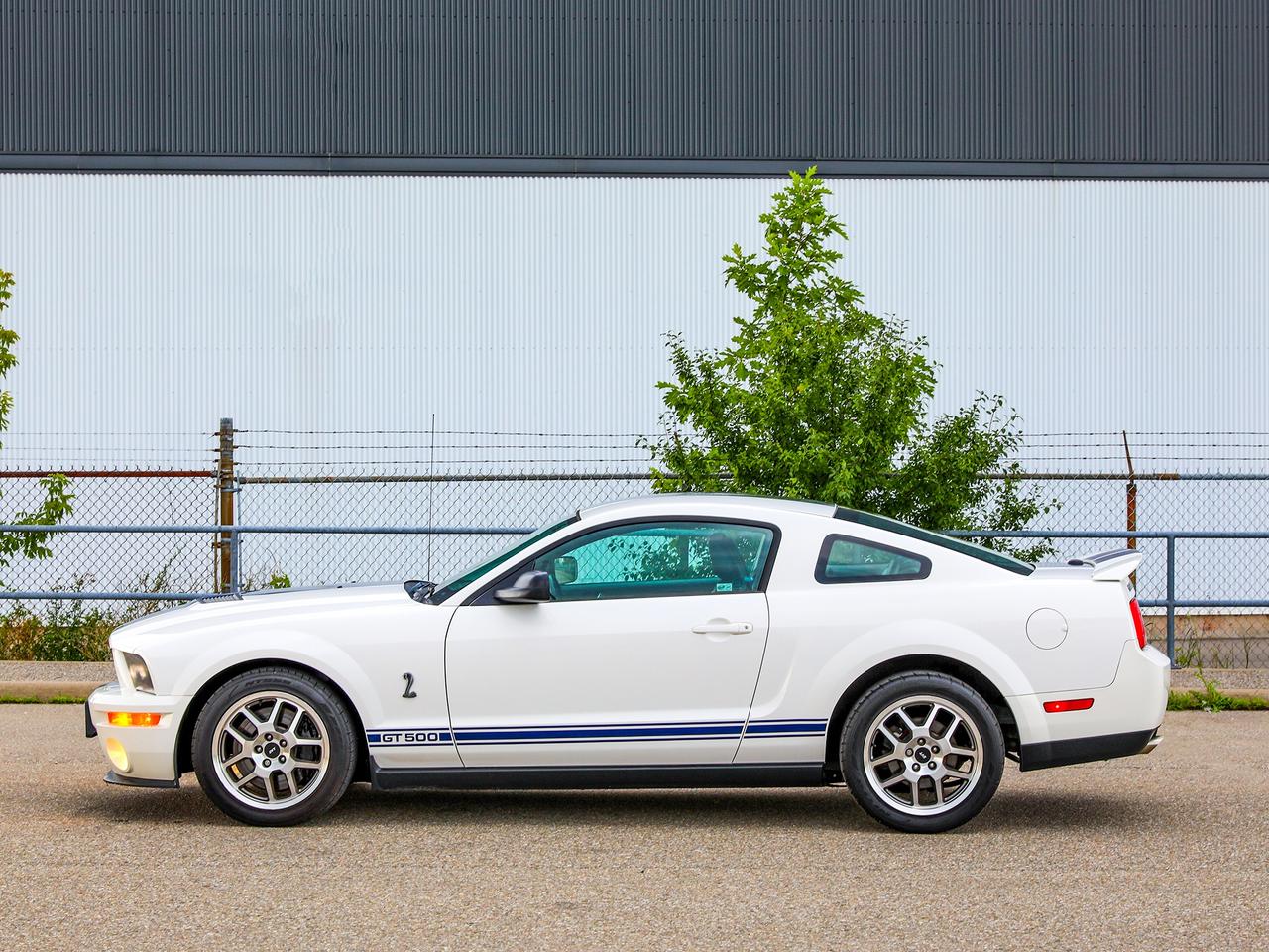 2009 Ford Mustang Shelby GT500 Photo