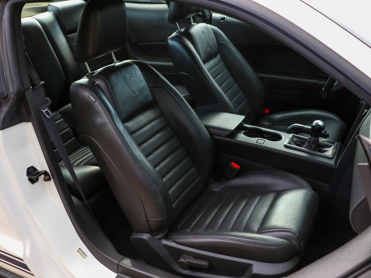 2009 Ford Mustang Shelby GT500 Photo